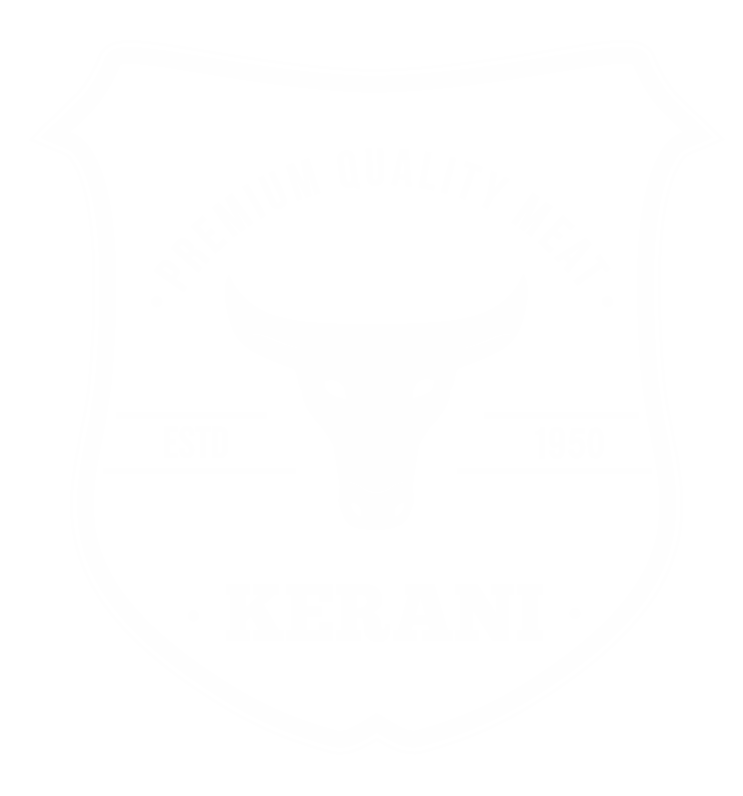 light logo